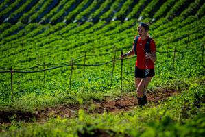 BIB: 
                            <button type="button" onclick="openModal(19161314)" class="btn btn-primary btn-sm float-right btn-popup" data-toggle="modal" data-target=".modal-high-quality">
                        <i class="fas fa-shopping-cart"></i> Add to Cart
                    </button>
                                            <button type="button" onclick="isThisMe(19161314, true)" class="btn btn-success btn-sm float-right btn-popup btn-isme hidden" data-toggle="tooltip" data-placement="bottom" title="นี่คือรูปของคุณใช่ไหม คลิกที่นี่เพื่อเอาเข้าอัลบั้ม">
                        <i class="fas fa-plus"></i> Add to album
                    </button>
                    <button type="button" onclick="isThisMe(19161314, false)" class="btn btn-warning btn-sm float-right btn-popup btn-isnotme hidden">
                        <i class="fas fa-ban"></i> Remove from album
                    </button>